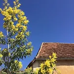 Domaine De La Contie * Issac