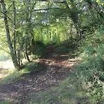 Domaine De La Contie Issac