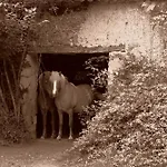 Domaine De La Contie بيت للعطل