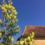 Domaine De La Contie Issac