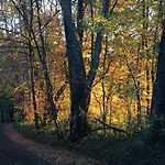 Domaine De La Contie * Issac