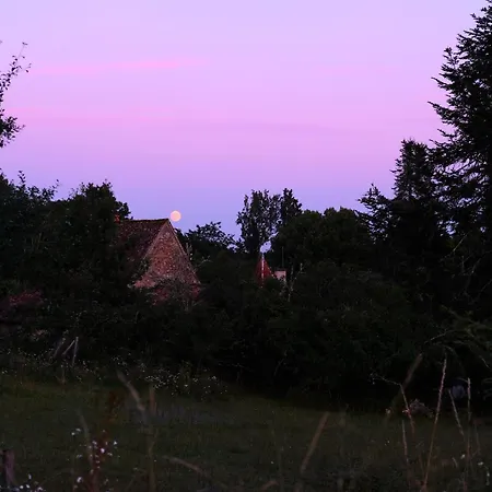 Domaine De La Contie *