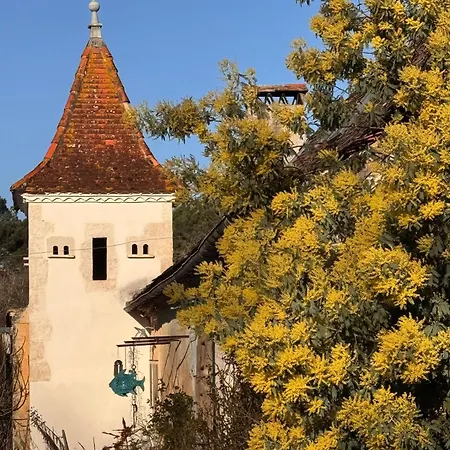 Vakantiehuis Domaine De La Contie