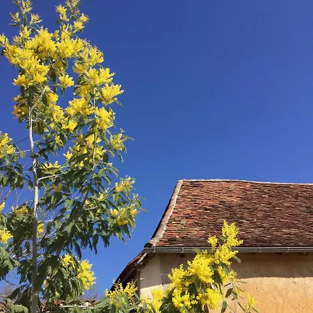 Domaine De La Contie Issac