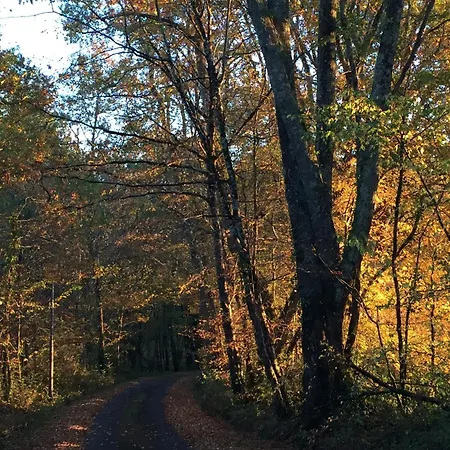 Domaine De La Contie *