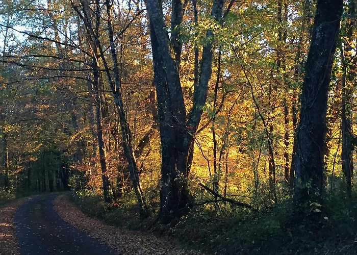 Semesterbostad Domaine De La Contie *